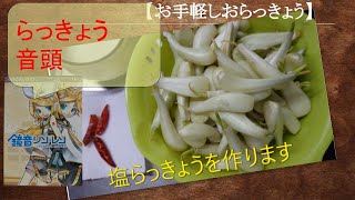 お手軽塩ラッキョウ　pickled scallion