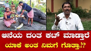 Elephant Tusk Trimming | Elephant Dr Nagaraj | ಕೆಲ ಆನೆಯ ದಂತ ಕಟ್ ಮಾಡೋದು ನಿಜ- ಡಾ.ನಾಗರಾಜ್.!