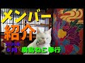 【保護猫カフェ】廣島ねこ奉行メンバー紹介！(2020年５月)