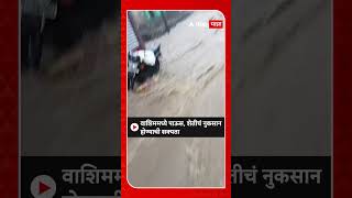 Washim Rain Update :वाशिममध्ये पावसाचा कहर,अनेक भागात पावसाचा जोर