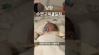 생후 2개월 낮잠 수면교육