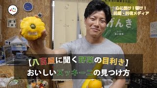 【野菜のプロが勧める本当の野菜の目利き】おいしいズッキーニの見つけ方｜＠Heaaart（アットハート）