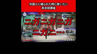 外国人に煽られた時に使いたい英会話講座【APEX暴言VC集】