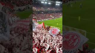 A festa da torcida do Colônia da Alemanha #futebol #köln #koln #messi #futebolinternacional