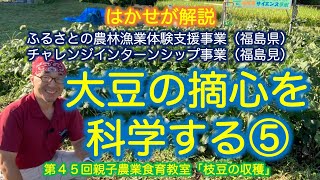 はかせが解説「大豆の摘芯を科学する⑤」第４５回親子農業食育教室「枝豆の収穫」