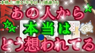 ＊本格辛口/霊視タロット🔮 🌿あなたは、あの人から本当はどう想われている❓