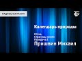 Михаил Пришвин. Календарь природы. Осень. Страницы книги. Передача 2. Читает Н.Литвинов