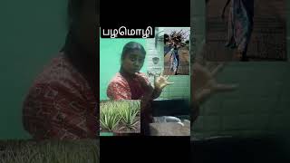 வித்தாரக் கள்ளி பழமொழி(விளக்கம்) #shortsfeed #shorts #தமிழ்#பழமொழி #palamoligal#மொழி #tamil#language