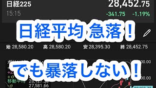 【49】日経平均急落！でもダブルインバース買うな！大暴落が来る？29000円超え？日経225先物ミニ　日経225オプションが実は1番FIREしやすい！FX大暴落バイナリー　ダブルスコープ日経レバ空売り