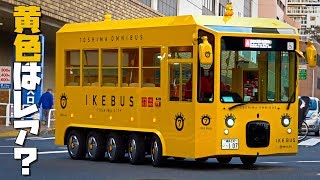 【黄色はレア？】可愛らしい乗り物IKEBUS(イケバス)