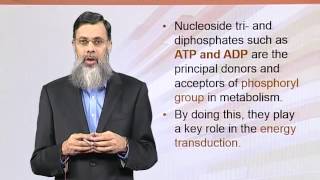 BIO202 Topic158