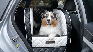 Timba testet: DOGSTYLER für's Auto