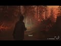 alan wake 2 stunning vistas trophy