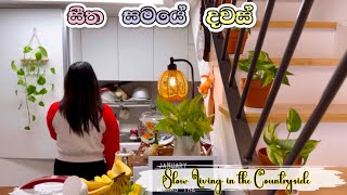 Slow Living in the Countryside🏡❄️| කන්ද උඩ ගෙදර දවස්🏔️🍋 | COOKING \u0026 ENJOY LIFE🍉🌳