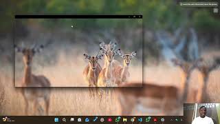 Python Manager Installation Guide