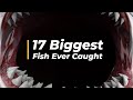 17 Biggest Fish Ever Caught: Meet the Giants