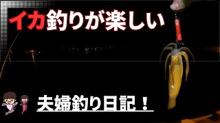 【イカ釣り】堤防からフラワーを投げるとイカがいます【エギング】