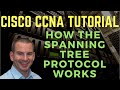 How the Spanning Tree Protocol Works