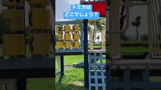 公園でトミカをさがせ！！パート③