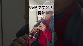 ルネッサンス情熱 国安わたる ミスター味っ子 アニソン ソプラノリコーダー soprano recorder