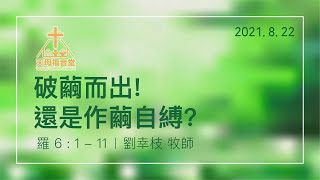 20210822 【破繭而出！還是作繭自縛？】劉幸枝牧師