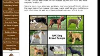 AKC Dog Breed Groups - AKC Dog Breed Classes