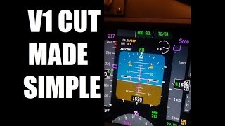 B737 Single Engine Rudder Explained