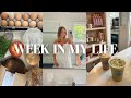 WEEKLY VLOG: spend the week with me, blue bird cafe, too good to go, pr haul + I'm moving!