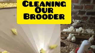 Day2: Cleaning day of our chick house before the arrival of our broiler chicks