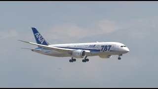 【飛行機】 強風時の着陸 ANA Boeing 【羽田空港】 （つばさ公園）