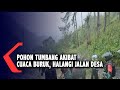 Pohon Tumbang Akibat Cuaca Buruk, Halangi Jalan Desa Di Pinrang