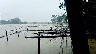 Sylhet Moulvibazar district town waters Sylhet Bangladesh News Service service  Sahed Hussain Sumon