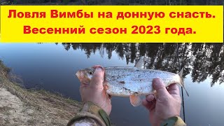 Ловля вимбы весной на донную снасть. Сезон 2023 Вимба, Сырть, Рыбец. Vimbas cope pavasarī.