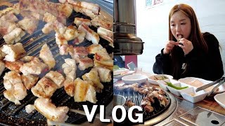 리얼 브이로그:) 먹방 VLOG ★ 행강유기견보호소, 돼지 생갈비구이, 떡볶이에 맥주한잔 ㅣMUKBANGㅣ