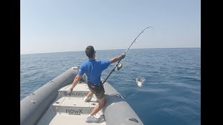 Tuna fishing- JackFin\u0026Howk