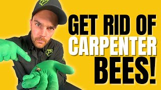 Eliminate Carpenter Bees for Good With This Treatment
