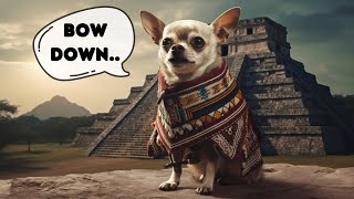 Chihuahua Facts: The Sacred Dog of the Aztecs