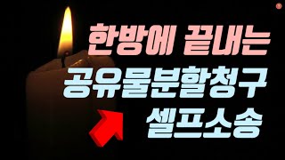 한방에 끝내는 셀프로 하는 공유물분할 청구소송