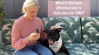 The Best and Most Effective Way to Dose Your Pet with CBD | Blooming Culture