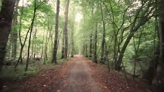 Amsterdamse Bos, ritje op de fiets herfst 2024.  Cycling trip fall 2024