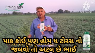 પાક કોઈ પણ હોય ધ ટોરસ નો જલવો અટલ છે ભાઈ.....