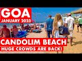 Goa | Candolim Beach - January - 2023 | Situation Update | New Shacks | Goa Vlog | North Goa |