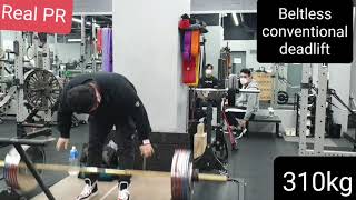 트레인트루에서 컨벤셔널 데드리프트 310kg, ohp 130kg