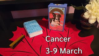 Rac 3-9 Martie , Vine furtuna și apoi iese soarele ! Tarot horoscope reading