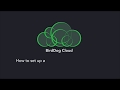 BirdDog Cloud - How to set up a new connection