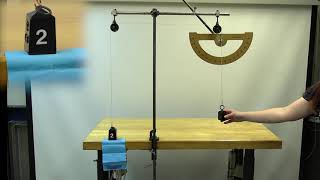 1M40.13 - Pendulum with Two Masses  - Tension in a Pendulum Cord