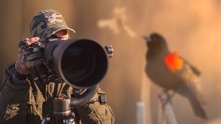 Photographing Bird Breath at Sunrise