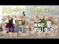 【山菜を探せ！】所持金0円で釣り生活　4話【伊是名島編】