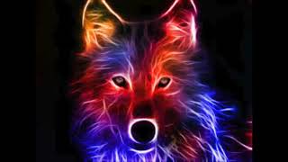 relax cool music and party the wolf