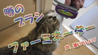 【ルナ#40】噂のファーミネーターを使ってみたら驚きの結果になった【サイベリアン】